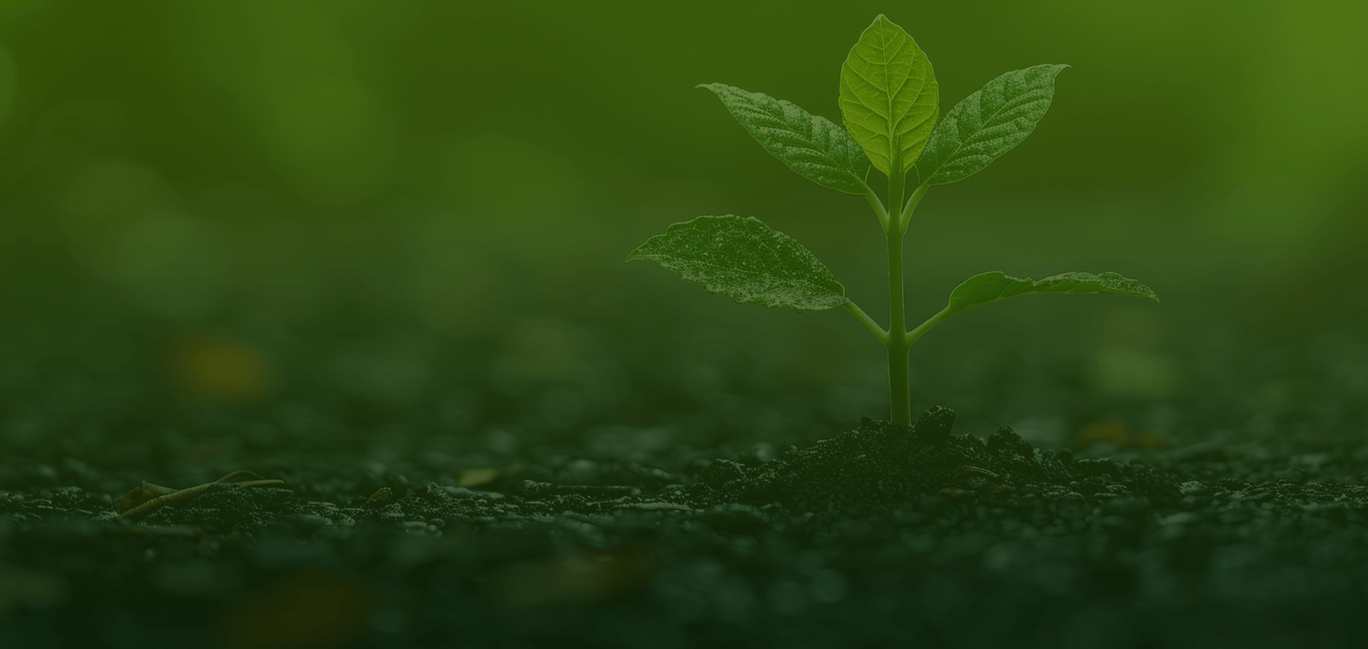 Remember Freight Line Slider